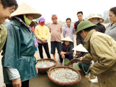 Ảnh bìa bài viết 346903