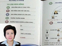 Ảnh bìa bài viết 346947
