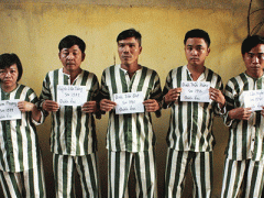 Ảnh bìa bài viết 347055