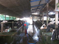 Ảnh bìa bài viết 346887