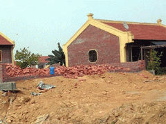 Ảnh bìa bài viết 347174