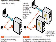 Ảnh bìa bài viết 347093