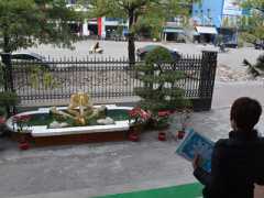 Ảnh bìa bài viết 347132