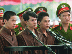 Ảnh bìa bài viết 347283