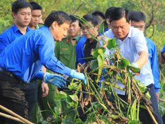 Ảnh bìa bài viết 347266