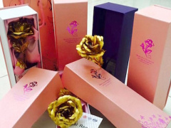Ảnh bìa bài viết 347203