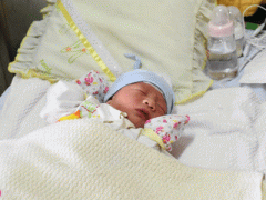 Ảnh bìa bài viết 347185