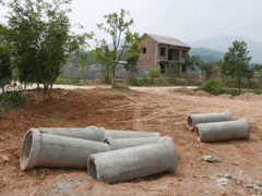 Ảnh bìa bài viết 347497