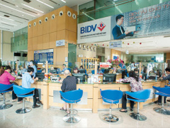 Ảnh bìa bài viết 347363