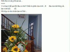 Ảnh bìa bài viết 347691