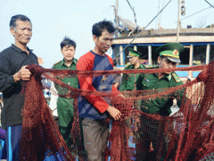 Ảnh bìa bài viết 347690