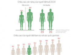 Ảnh bìa bài viết 347522