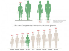 Ảnh bìa bài viết 347598