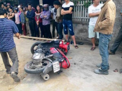 Ảnh bìa bài viết 347682