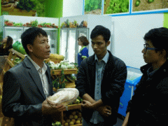 Ảnh bìa bài viết 347919
