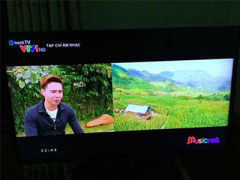Ảnh bìa bài viết 347804