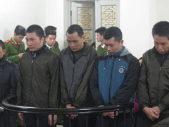 Ảnh bìa bài viết 347930