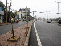 Ảnh bìa bài viết 348353