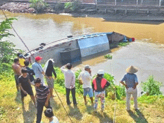 Ảnh bìa bài viết 348356
