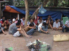 Ảnh bìa bài viết 348195