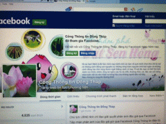 Ảnh bìa bài viết 348476