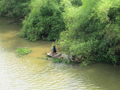 Ảnh bìa bài viết 348601