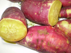 Ảnh bìa bài viết 348707