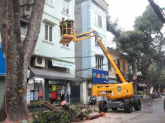 Ảnh bìa bài viết 348624