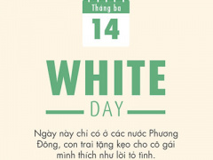 Ảnh bìa bài viết 348690