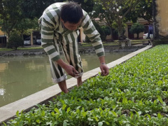 Ảnh bìa bài viết 348673