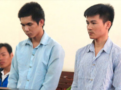 Ảnh bìa bài viết 348937