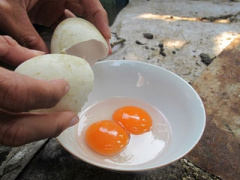 Ảnh bìa bài viết 349091