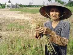 Ảnh bìa bài viết 349245