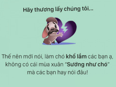Ảnh bìa bài viết 349250