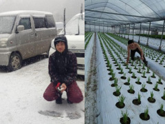 Ảnh bìa bài viết 349497