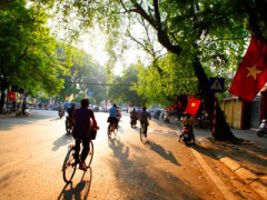 Ảnh bìa bài viết 349512