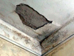 Ảnh bìa bài viết 350241