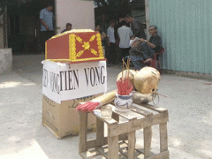 Ảnh bìa bài viết 350584
