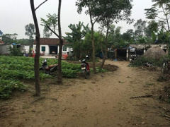 Ảnh bìa bài viết 350487