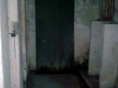 Ảnh bìa bài viết 350636