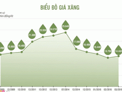 Ảnh bìa bài viết 351137