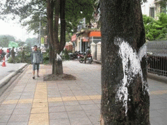 Ảnh bìa bài viết 351177