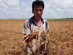 Ảnh bìa bài viết 351051