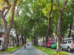 Ảnh bìa bài viết 351130