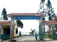 Ảnh bìa bài viết 351131