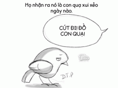 Ảnh bìa bài viết 351272