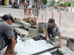 Ảnh bìa bài viết 351333