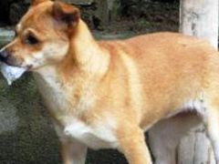 Ảnh bìa bài viết 351287