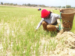 Ảnh bìa bài viết 351252