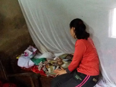 Ảnh bìa bài viết 351577